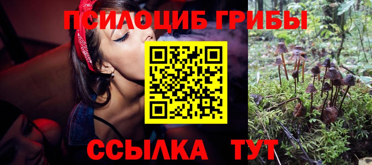 Псилоцибиновые грибы MAGIC MUSHROOMS  Вход с VPN  Выкса  Псилоцибиновые грибы Psilocybine cubensis 