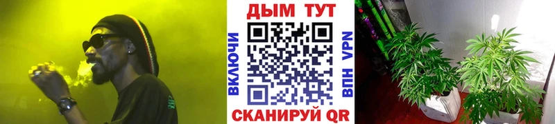 МАРИХУАНА марихуана Выкса